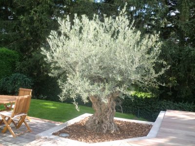 creation-terrasse-bois-st-etienne-22-1024x768_20200717_1254095700