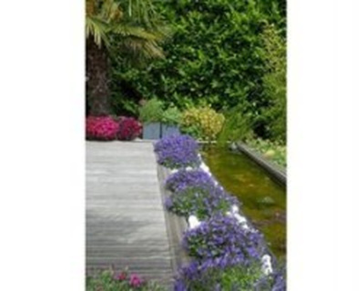 creation-amenagement-horizon-jardin-1_20200717_1579443717